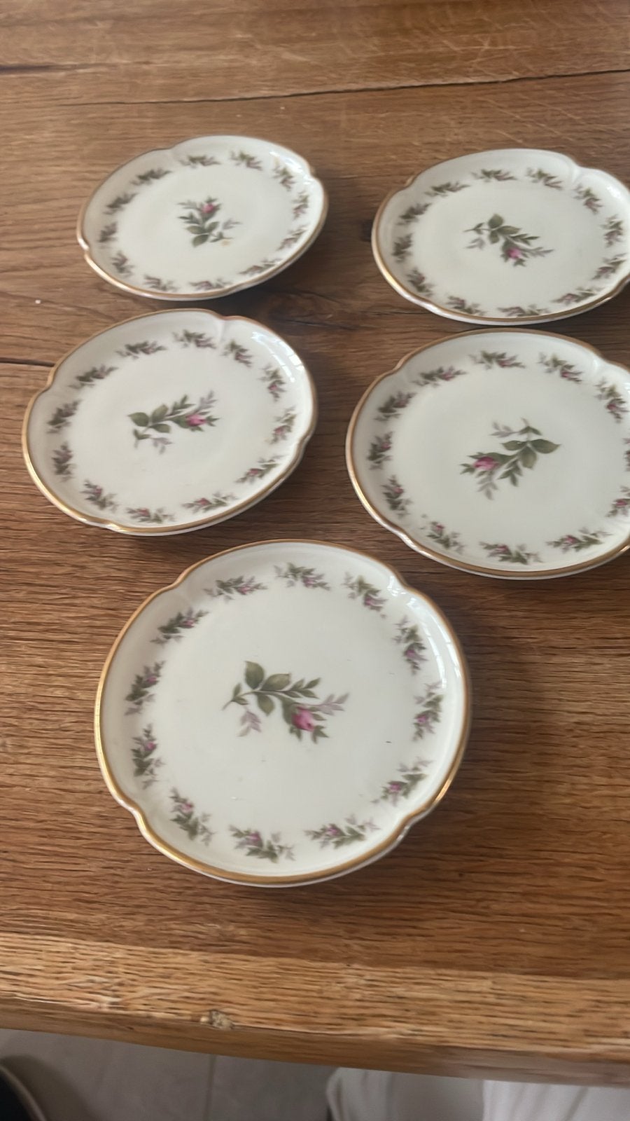 Rosenthal Moosrose schoteltjes - set van 5, Ophalen of Verzenden