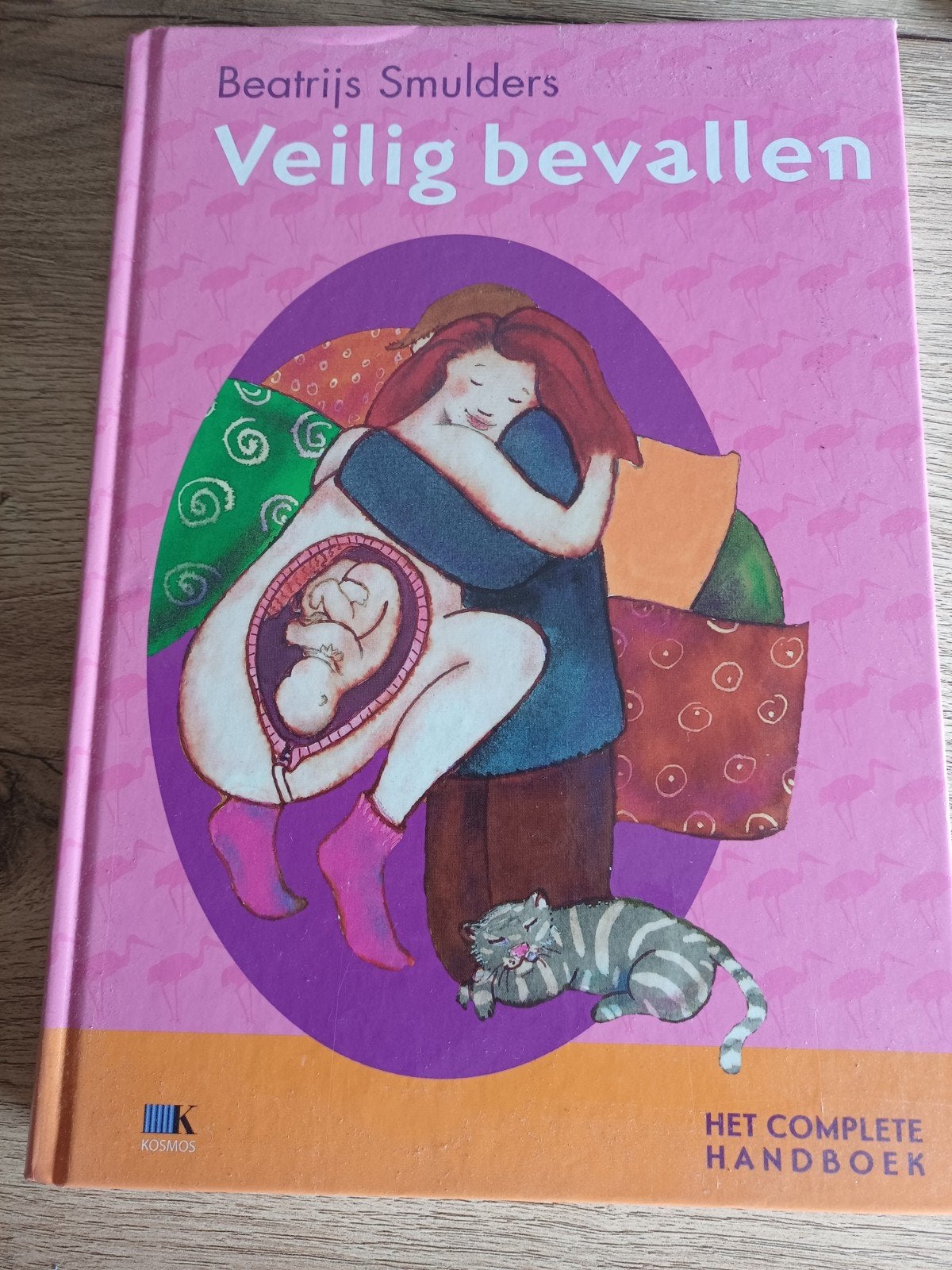 Veilig bevallen - Het complete handboek (hardcover), Ophalen of Verzenden, Zo goed als nieuw, Zwangerschap en Bevalling, Beatrijs Smulders