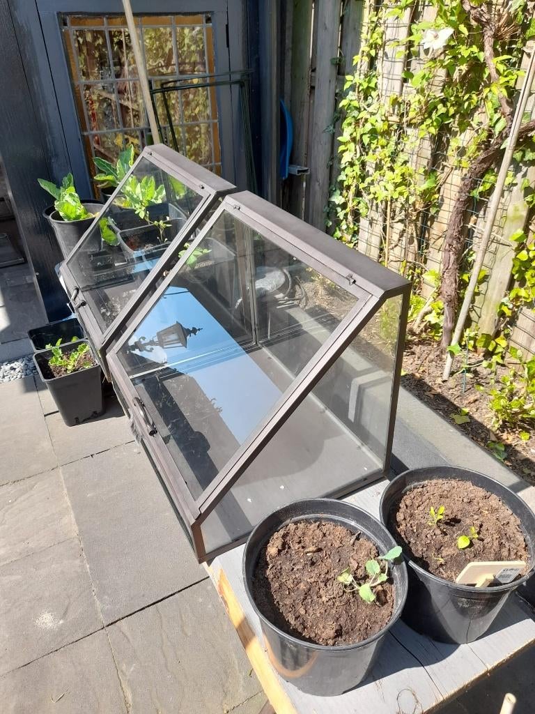 Moestuin kas, kweekkas, greenhouse NIEUW van staal/glas, Tuin en Terras, Ophalen, Rond, Nieuw, Metaal