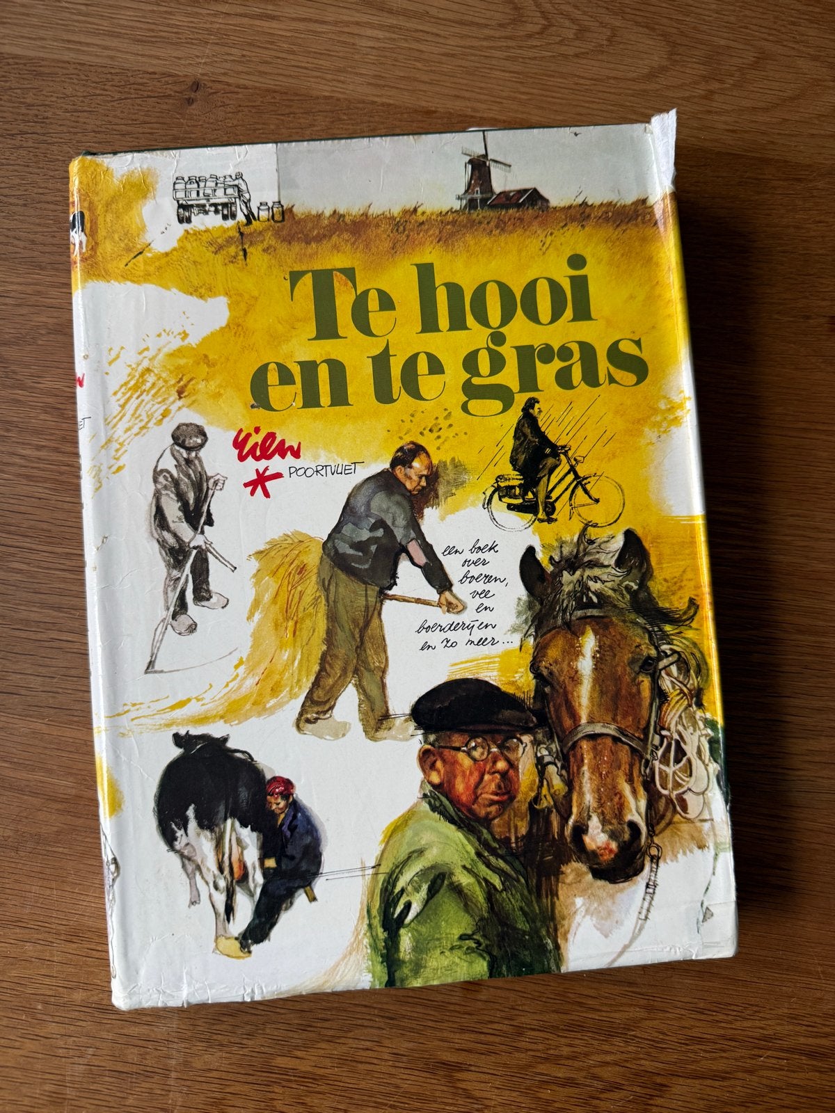 Te hooi en te gras - Rien Portvliet, Boeken, Ophalen of Verzenden, Gelezen, Nederland