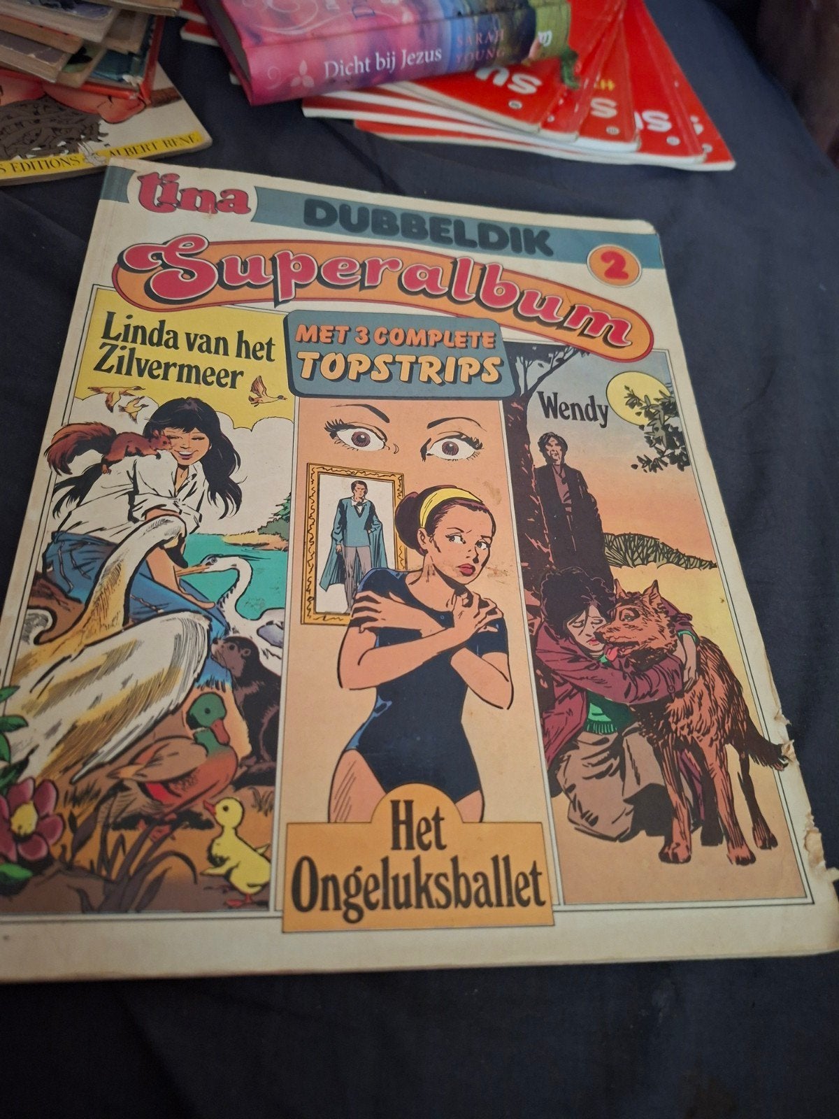 Tina Dubbeldik Superalbum 2 - Linda van het Zilvermeer, Eén stripboek, Ophalen, Gelezen, Onbekend