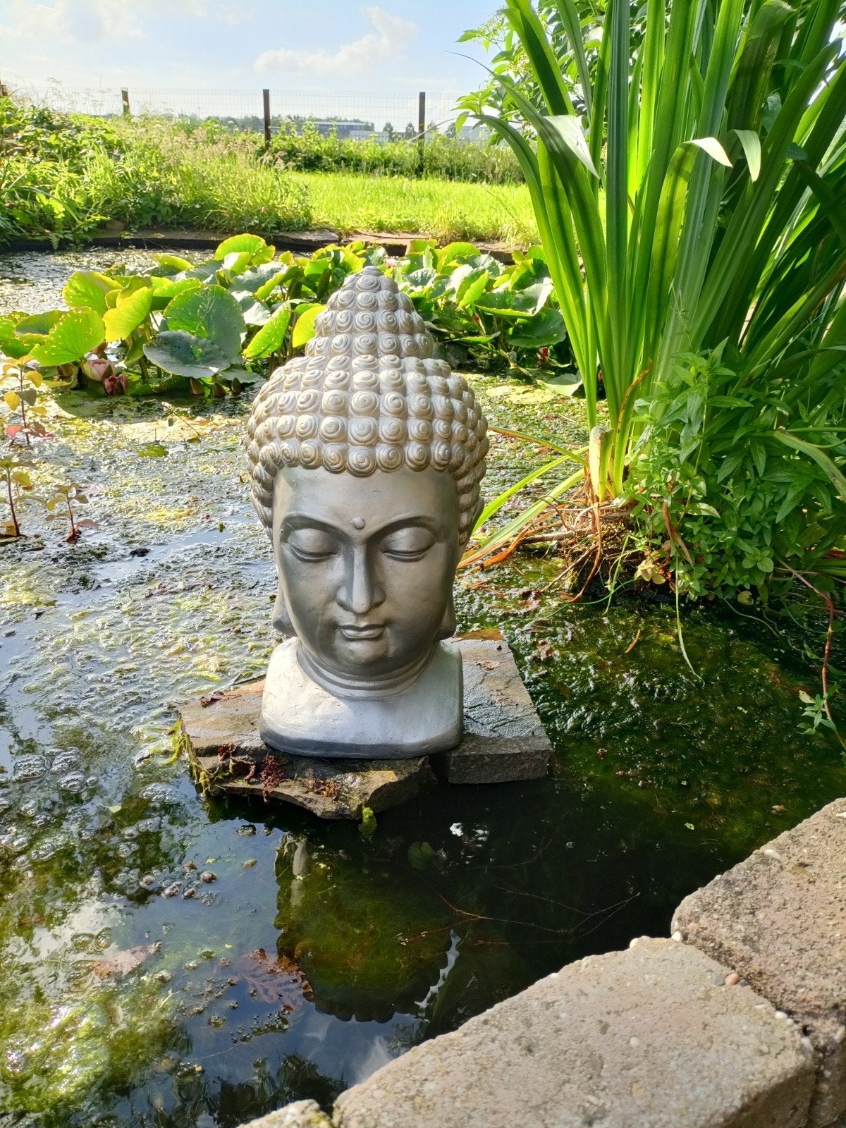 Boeddha beeld voor buiten voor veel goede karma en geluk, Ophalen of Verzenden
