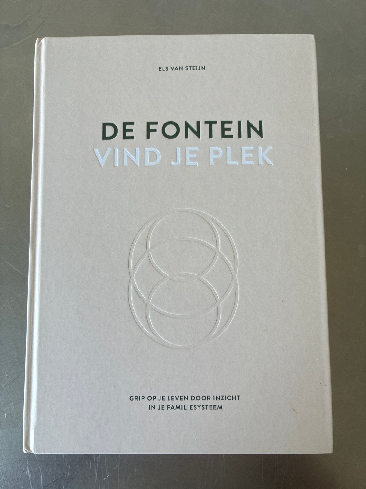 De Fontein: Vind je plek - Els van Steijn, Ophalen of Verzenden, Zo goed als nieuw, Overige