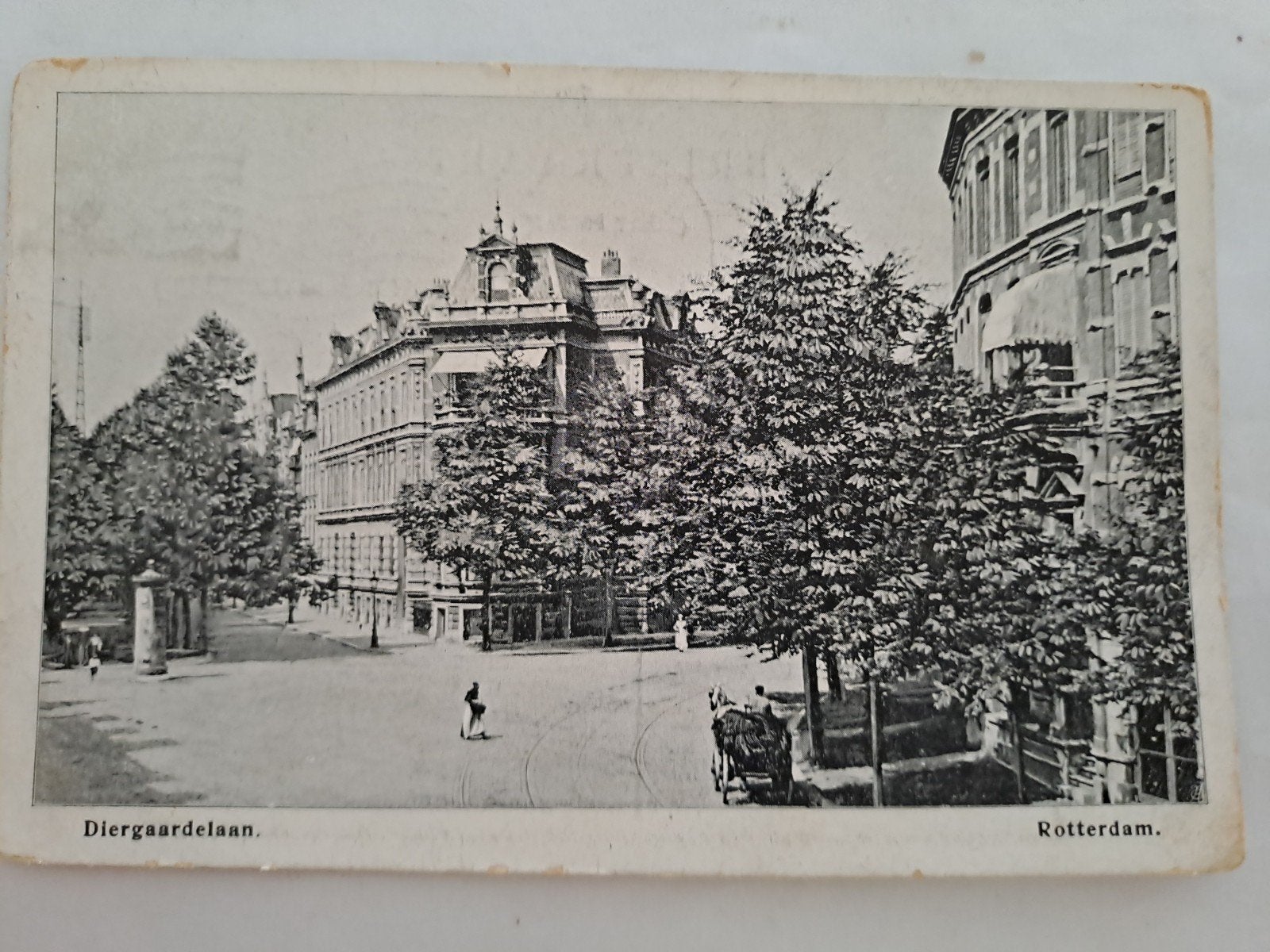 Rotterdam,  diergaardelaan, gelopen, Ophalen of Verzenden
