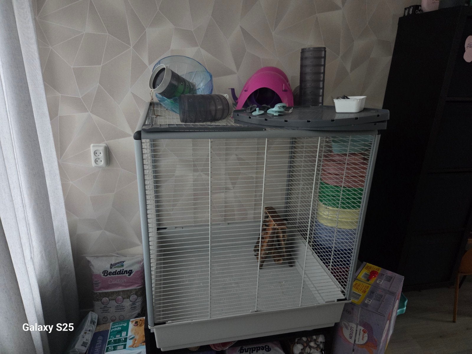 Knaagdieren kooi met accessoires, Kooi, Gebruikt, 60 tot 90 cm, Ophalen of Verzenden