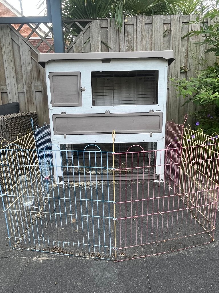 mooi een duurzaam konijnenhok met toebehoren, Dieren en Toebehoren, Knaagdieren en Konijnen | Hokken en Kooien, Ophalen, 110 cm of meer