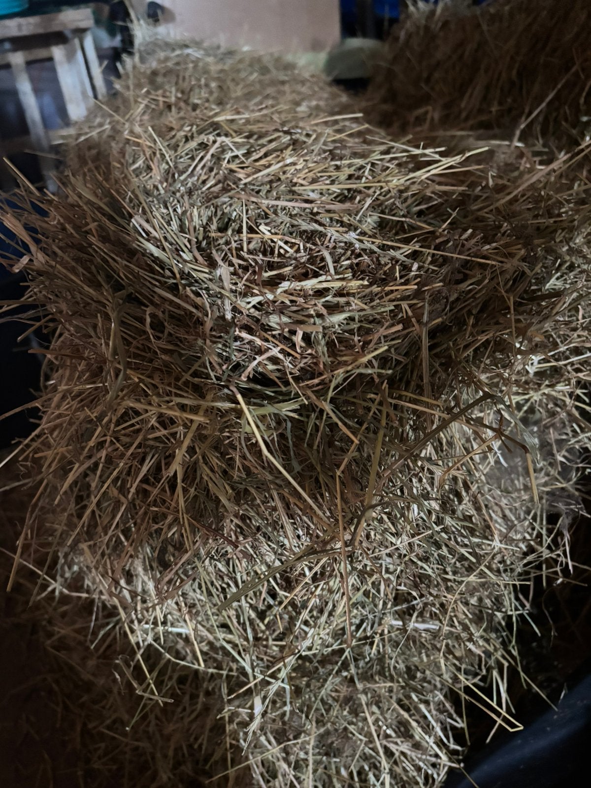 Hooi te koop, Dieren en Toebehoren, Ophalen, Overige soorten