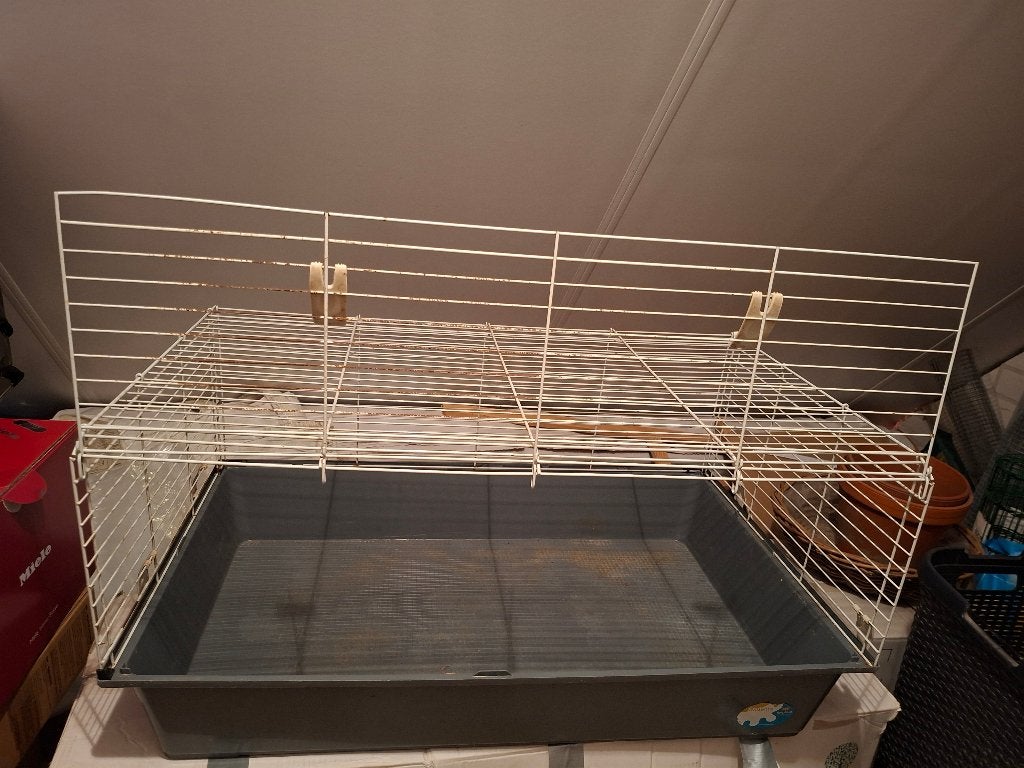 Cavia kooi, Dieren en Toebehoren, Knaagdieren en Konijnen | Hokken en Kooien, Kooi, Gebruikt, Cavia, 75 tot 110 cm