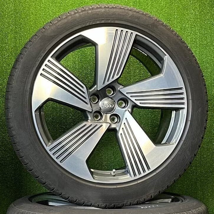 Originele 21 inch Audi E-Tron velgen met winterbanden, Gebruikt, -, 265 mm, -