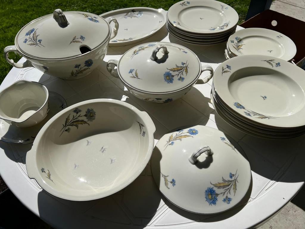 MCP Czechoslovakia Servies - Compleet met bloemmotief, Ophalen of Verzenden, Zo goed als nieuw, Bord(en), Overige stijlen