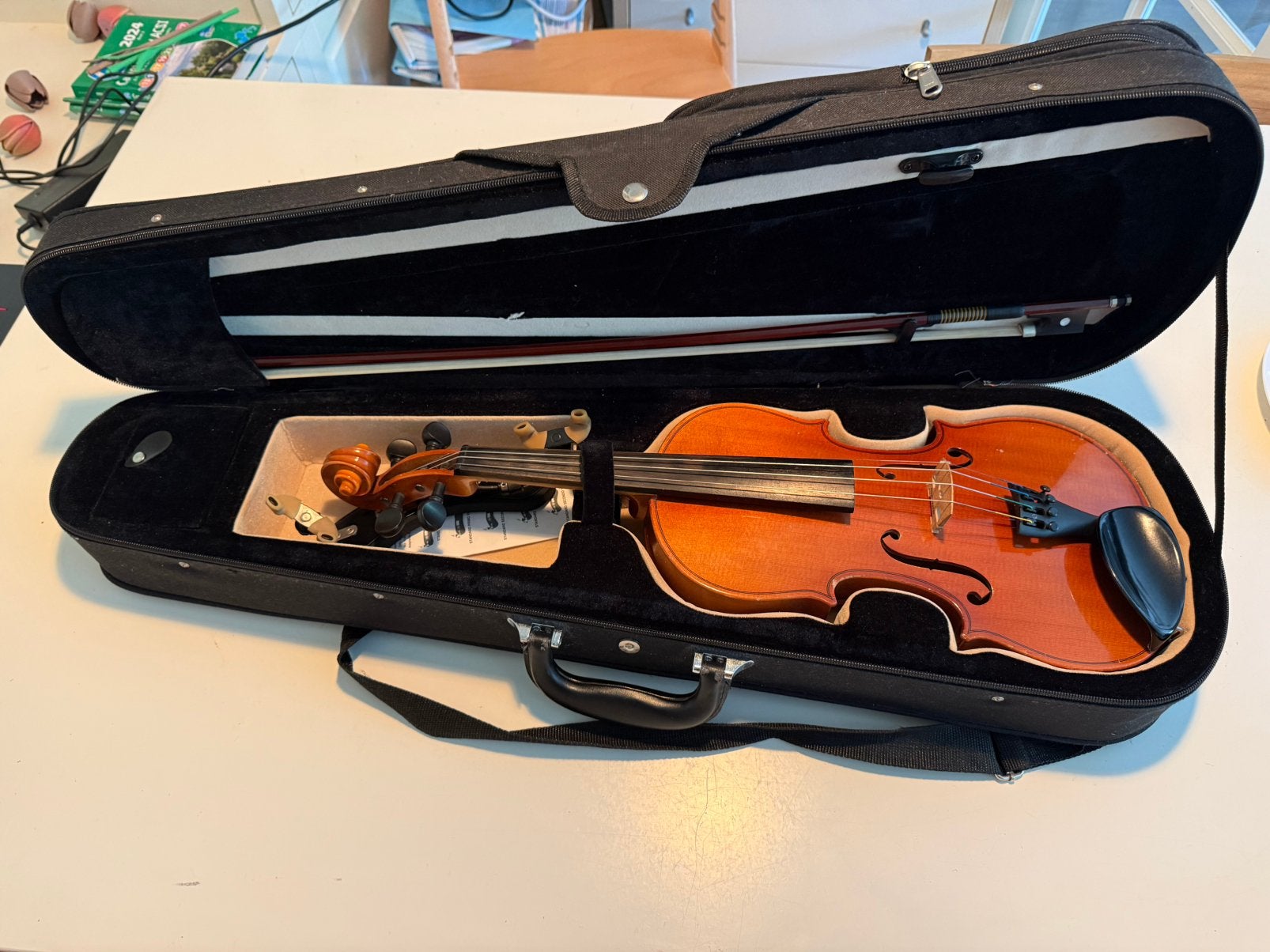 Viool met mooie tas, Muziek en Instrumenten, Strijkinstrumenten | Violen en Altviolen, Ophalen of Verzenden, Zo goed als nieuw