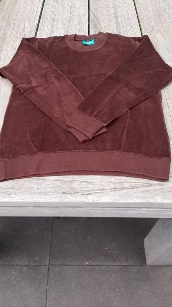 Fluwelen trui, Kleding | Dames, Ophalen of Verzenden, Zo goed als nieuw, Maat 38/40 (M), Bruin