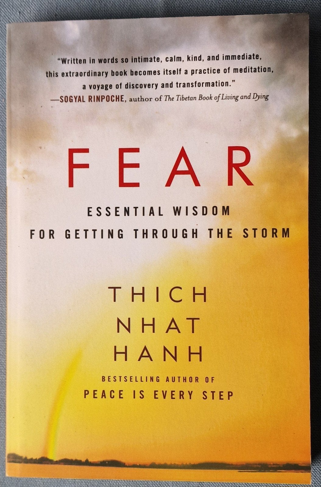 Fear: Essential Wisdom - Thich Nhat Hanh, Boeken, Ophalen of Verzenden