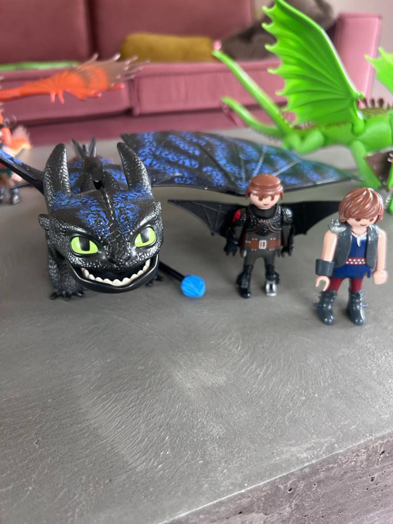 Playmobil Hoe Tem Ik Een Draak: Tandloos, Speknekje, Stormvl, Ophalen of Verzenden, Zo goed als nieuw, Complete set