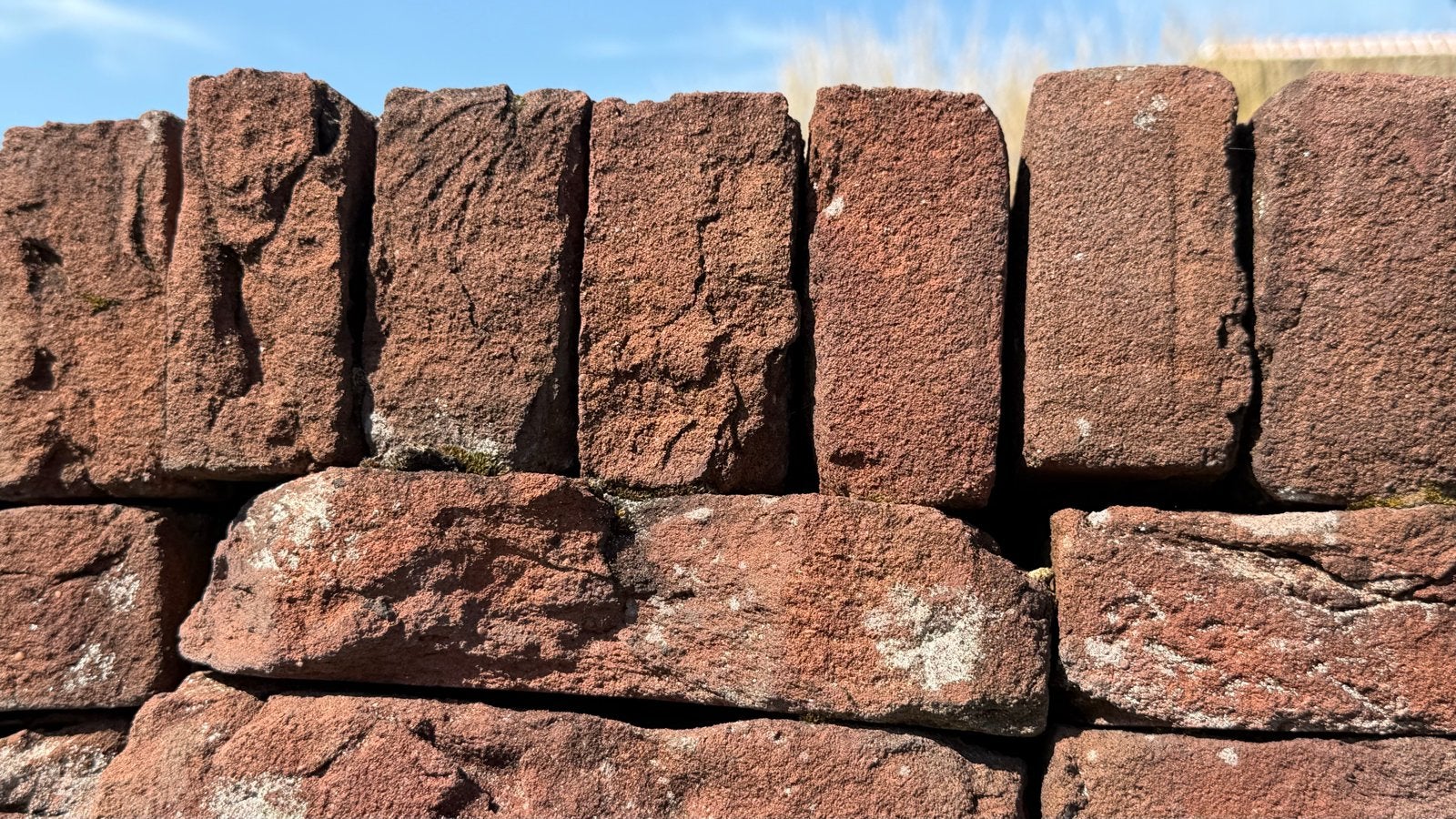 Ouderwetse ongebruikte metselstenen - ca. 7000 stuks, Ophalen, Nieuw, Bakstenen