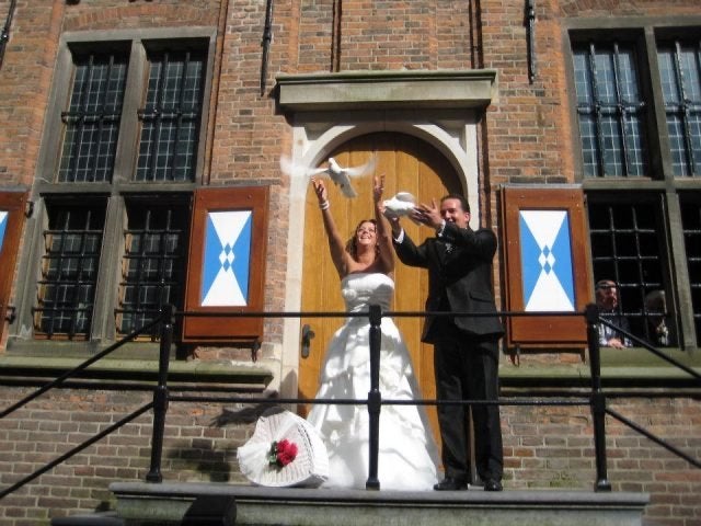 Bruidsduiven - witte duiven voor bruiloft - Trouwduiven, Meerdere dieren, Overige soorten
