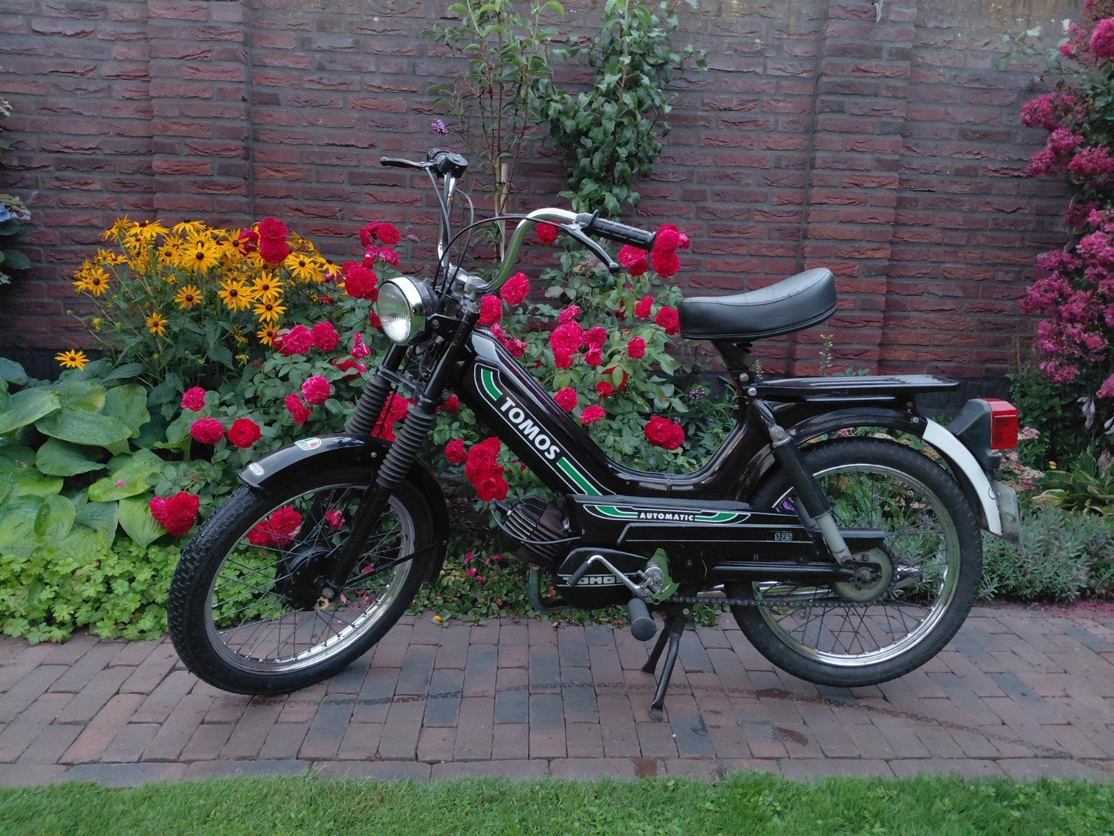 klassieke Tomos s25 met spaakvelgen, Ophalen, Maximaal 25 km/u, 1 versnellingen, 49 cc