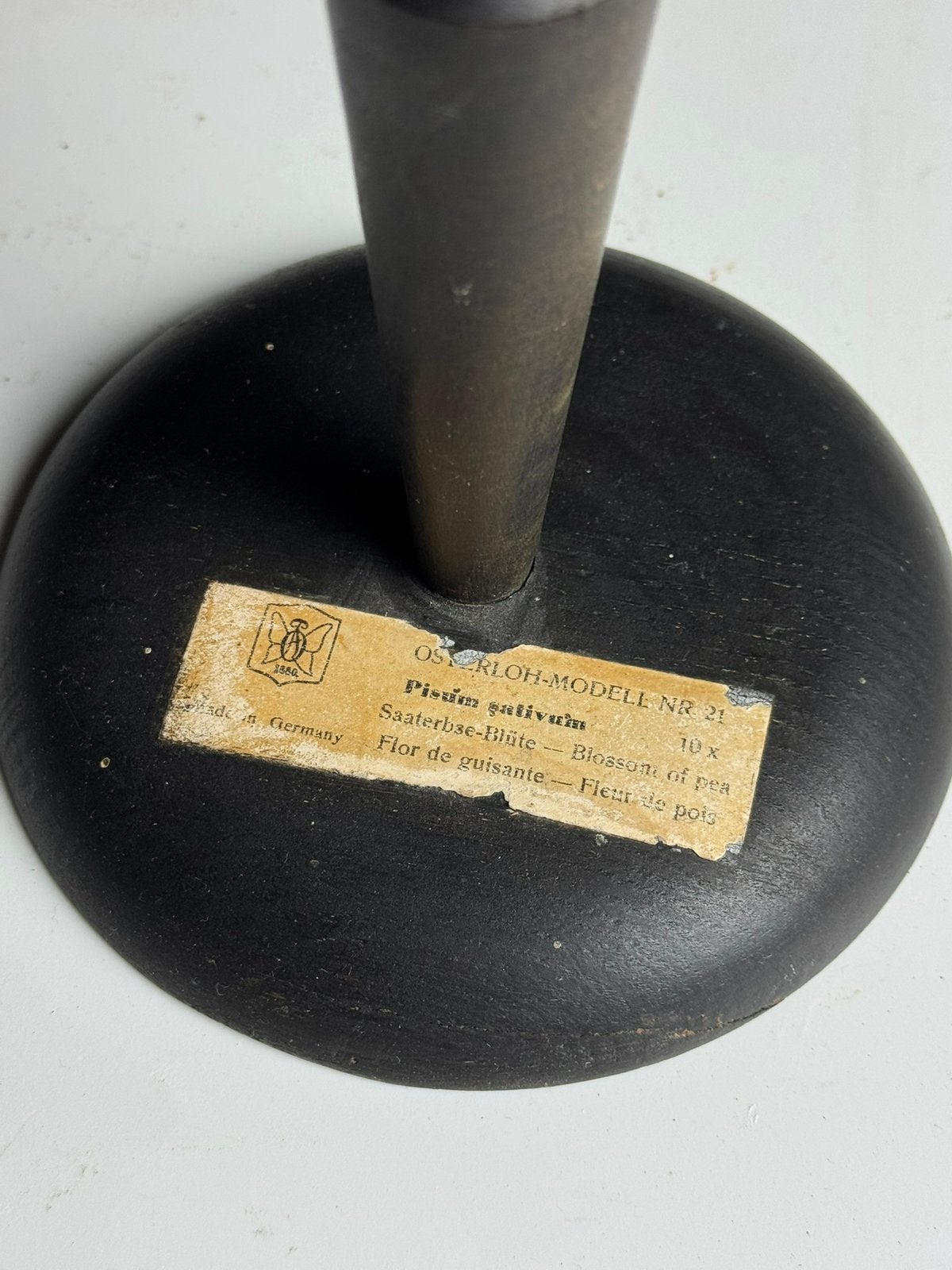 Duits Botanisch model, Ophalen of Verzenden