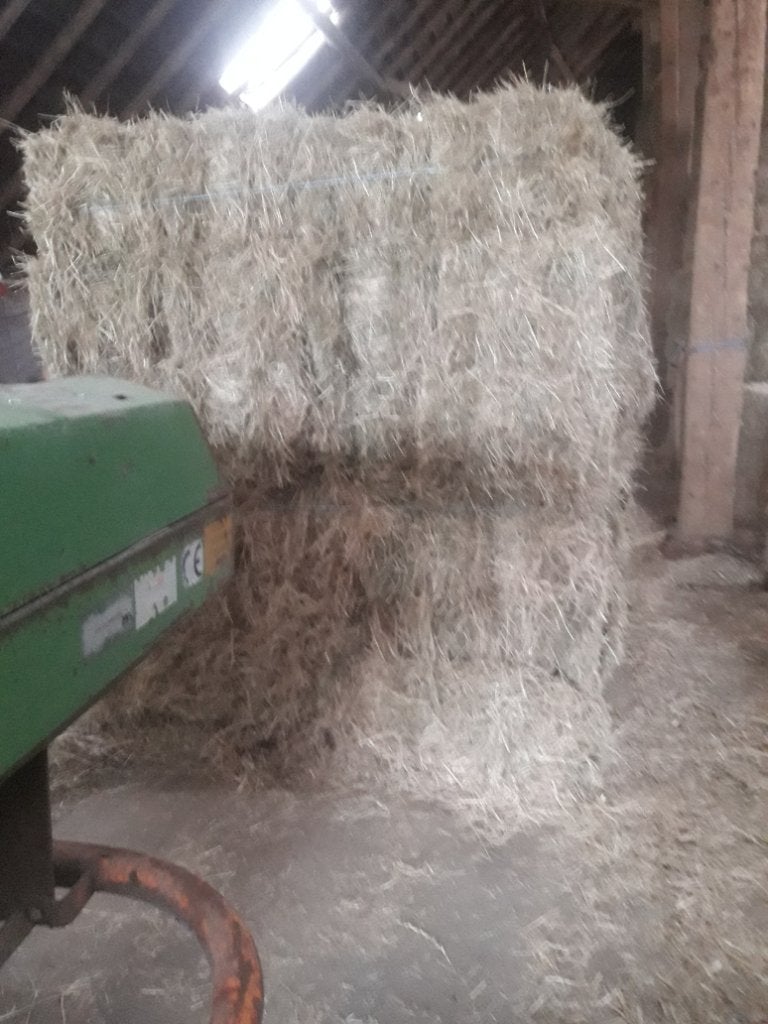 Hooi hooibalen hooipakjes, Dieren en Toebehoren, Ophalen, Vee