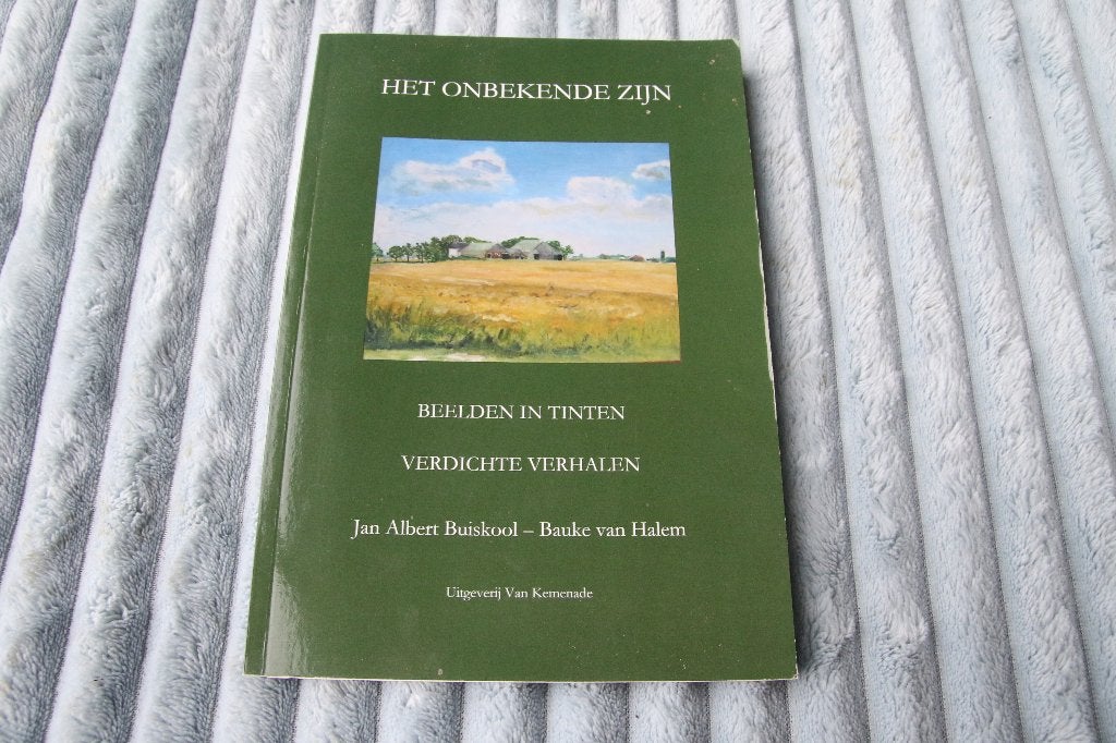 Het onbekende zijn. Buiskool en van Halem, Ophalen of Verzenden, Gelezen