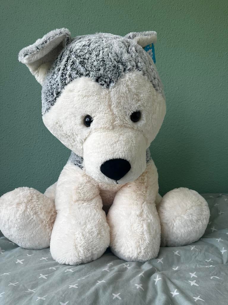 Grote husky knuffel 70 cm hoog 60 cm breed, Ophalen of Verzenden, Zo goed als nieuw, Overige typen