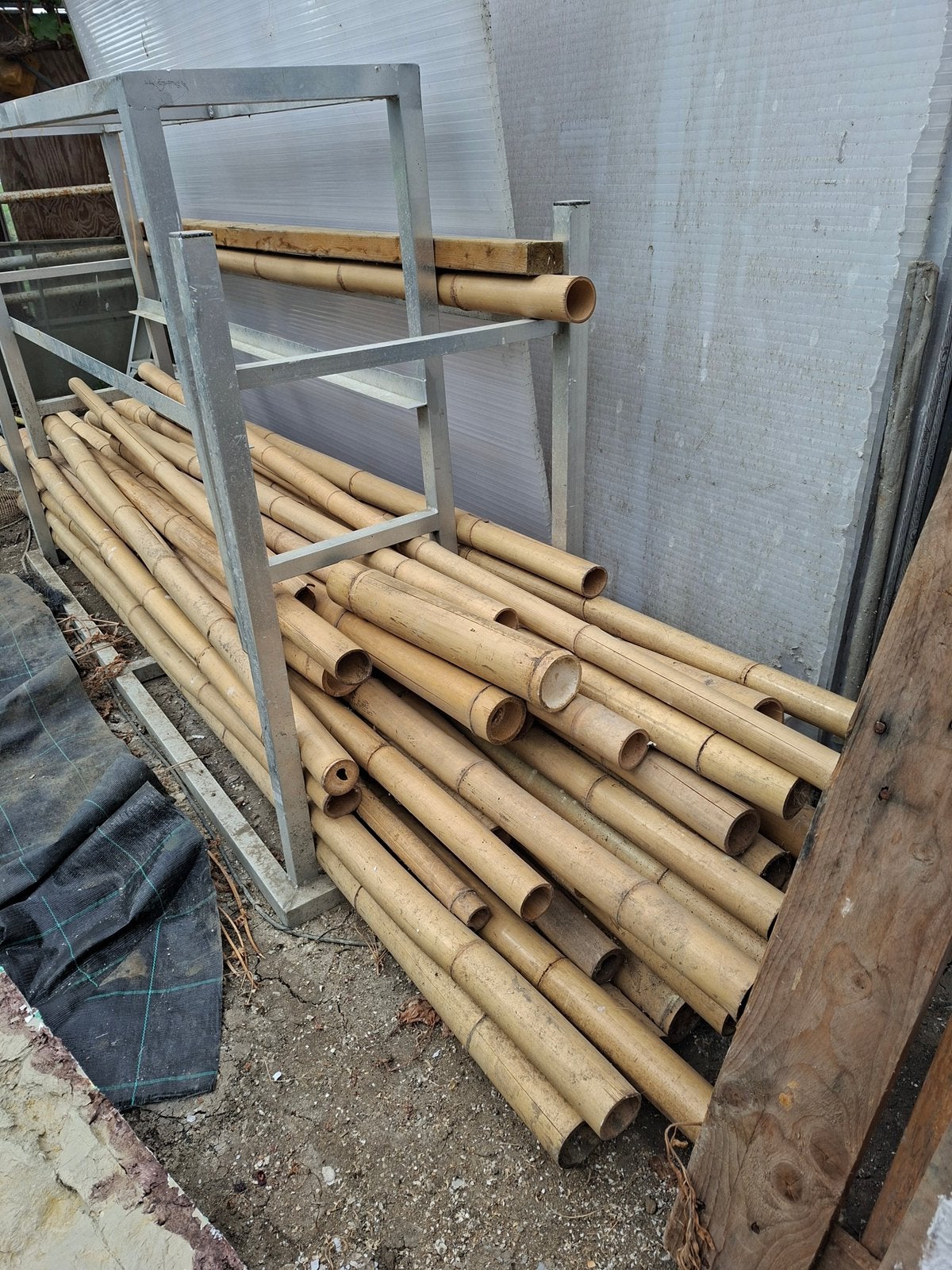 Grote partij bamboepalen/stokken – tot 3 meter, Ophalen, Minder dan 25 mm, Zo goed als nieuw, Plank