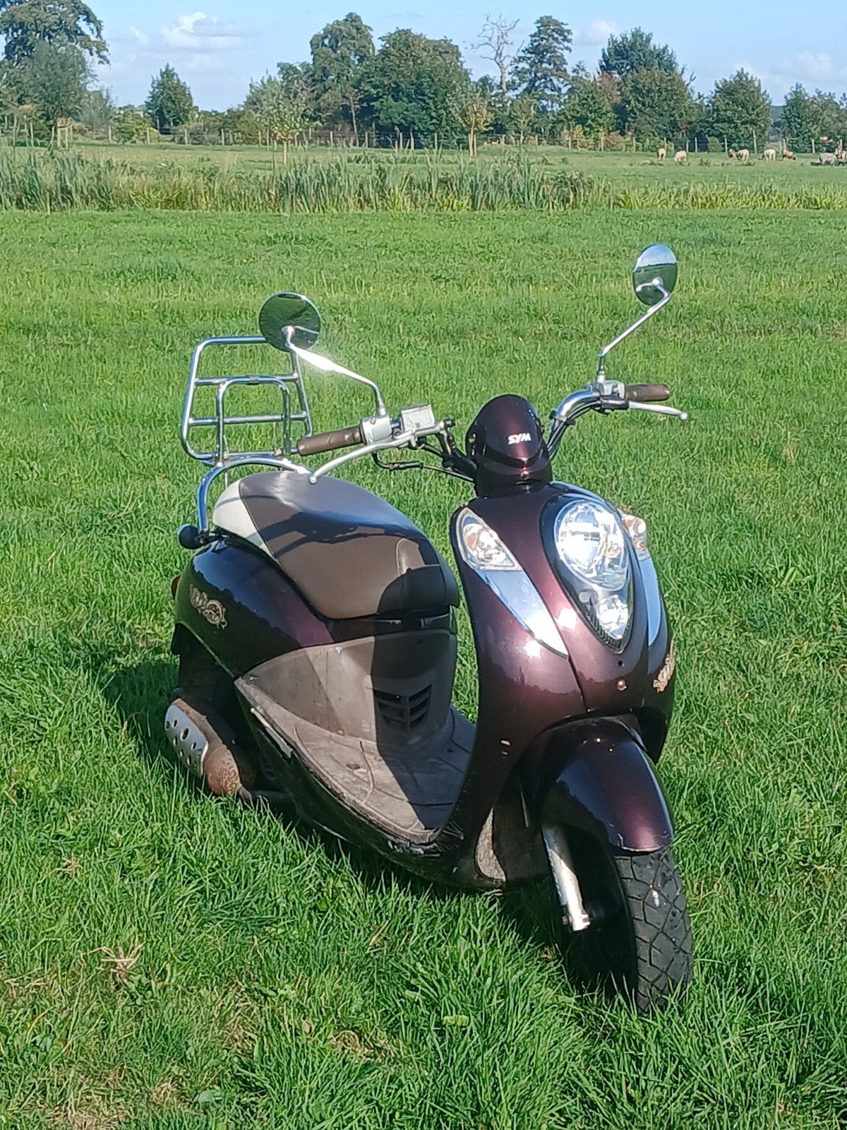 sym scooter, Fietsen en Brommers, Gebruikt, Maximaal 45 km/u, Benzine, Ophalen
