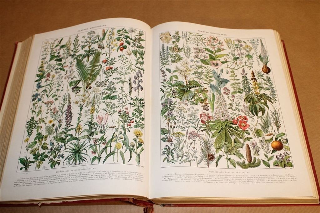Larousse Encyclopedie [1917-1919] — Einde Wereldoorlog I, Antiek en Kunst, Ophalen of Verzenden