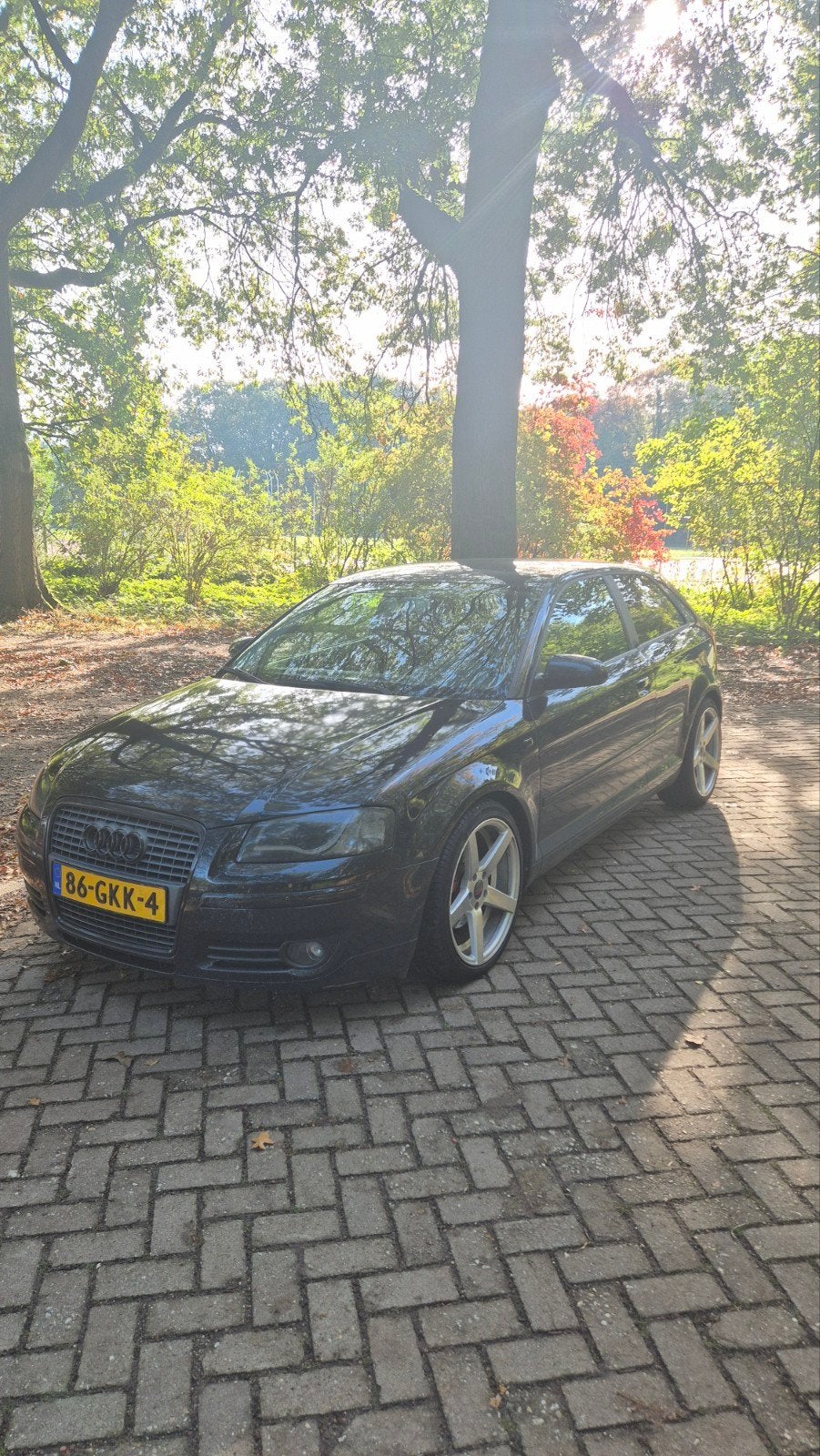 Audi A3 1.8 Tfsi 118KW S-tronic 2008 Zwart, Auto's, 4 cilinders, 700 kg, 160 pk, Zwart