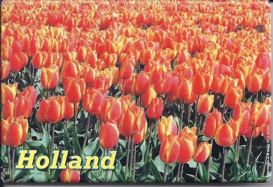 D84 koelkastmagneet holland, Verzamelen, Ophalen of Verzenden