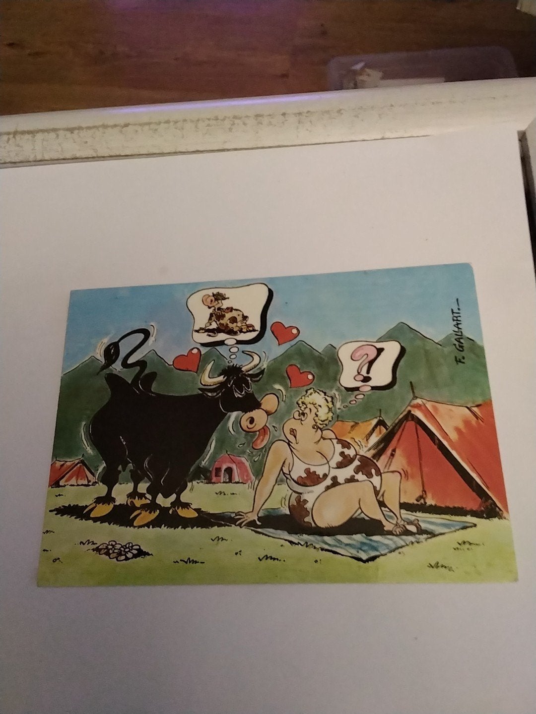 STIER VERKLAART ZIJN LIEFDE AAN VROUW, Ophalen of Verzenden, Overige thema's