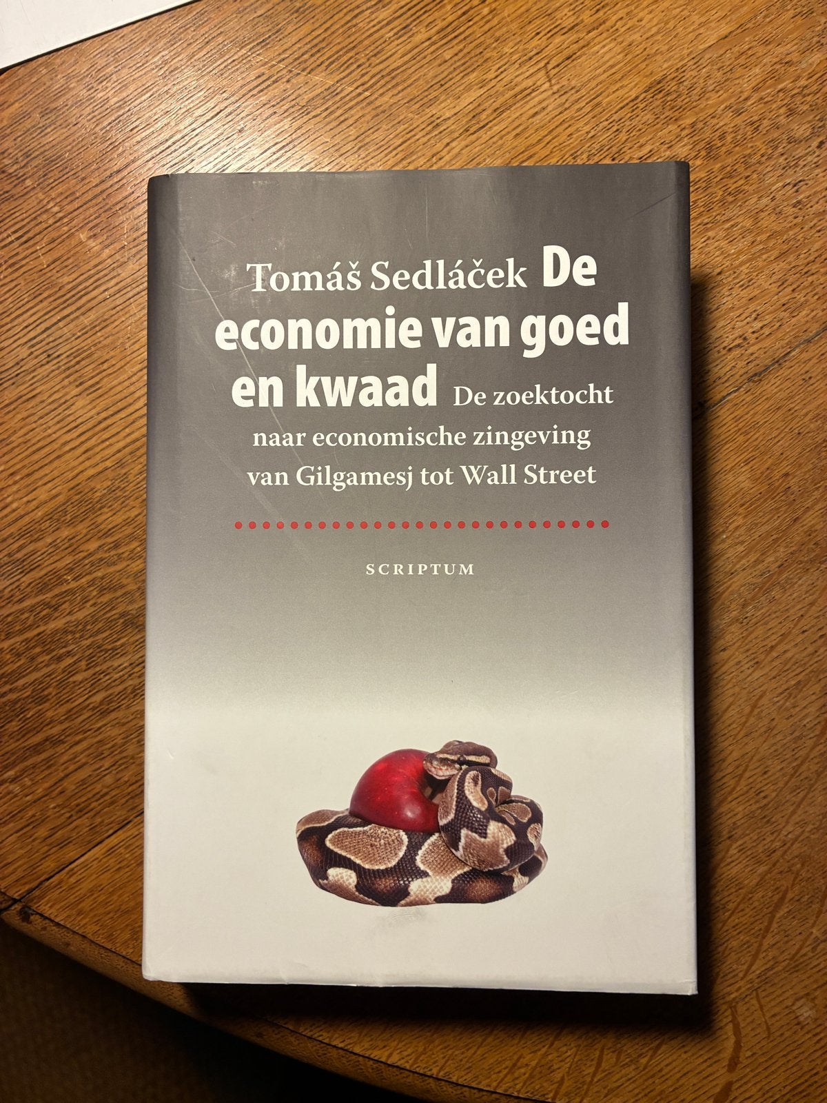 De economie van goed en kwaad - Tomáš Sedláček, Ophalen of Verzenden, Zo goed als nieuw, Economie en Marketing