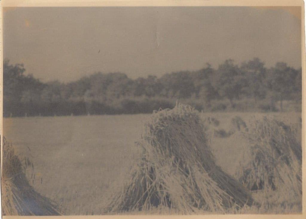 Korenschoof jaren 30, Gebruikt, Verzenden, Foto, Voor 1940