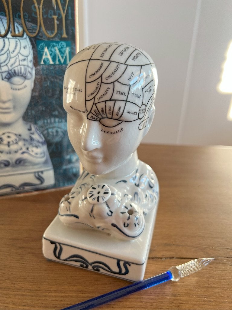 Phrenology hoofd (Medici hoofd) in originele verpakking, Ophalen of Verzenden