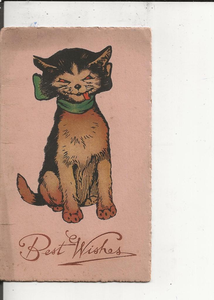 Best Wishes van de kater, Ophalen of Verzenden, Voor 1920, Ongelopen, Engeland
