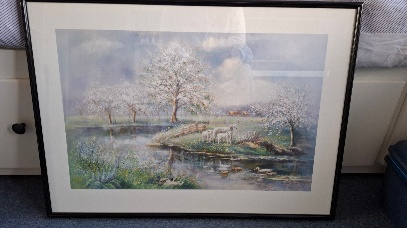poster schapen in zwarte lijst, Ophalen, Gesigneerd, Dieren