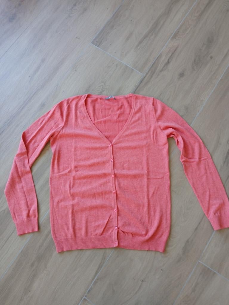 Dames vest oranje / zalm Hema maat L 44  / 46 ZGAN, Trui of Vest, Oranje, Ophalen of Verzenden, Zo goed als nieuw