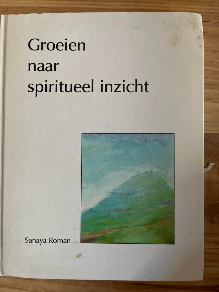 Groeien naar spiritueel inzicht - Sanaya Roman, Boeken, Ophalen of Verzenden, Gelezen, Spiritualiteit algemeen, Instructieboek