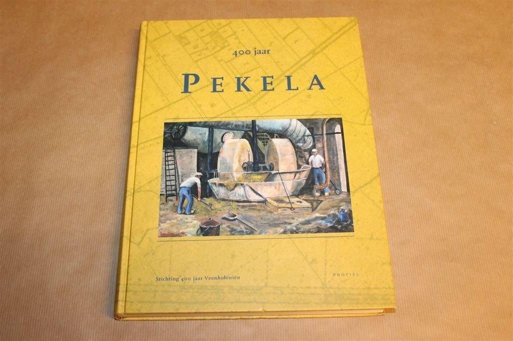 400 Jaar Pekela — Geschiedenis van de Veenkoloniën, Boeken, Geschiedenis | Stad en Regio, Ophalen of Verzenden, Zo goed als nieuw