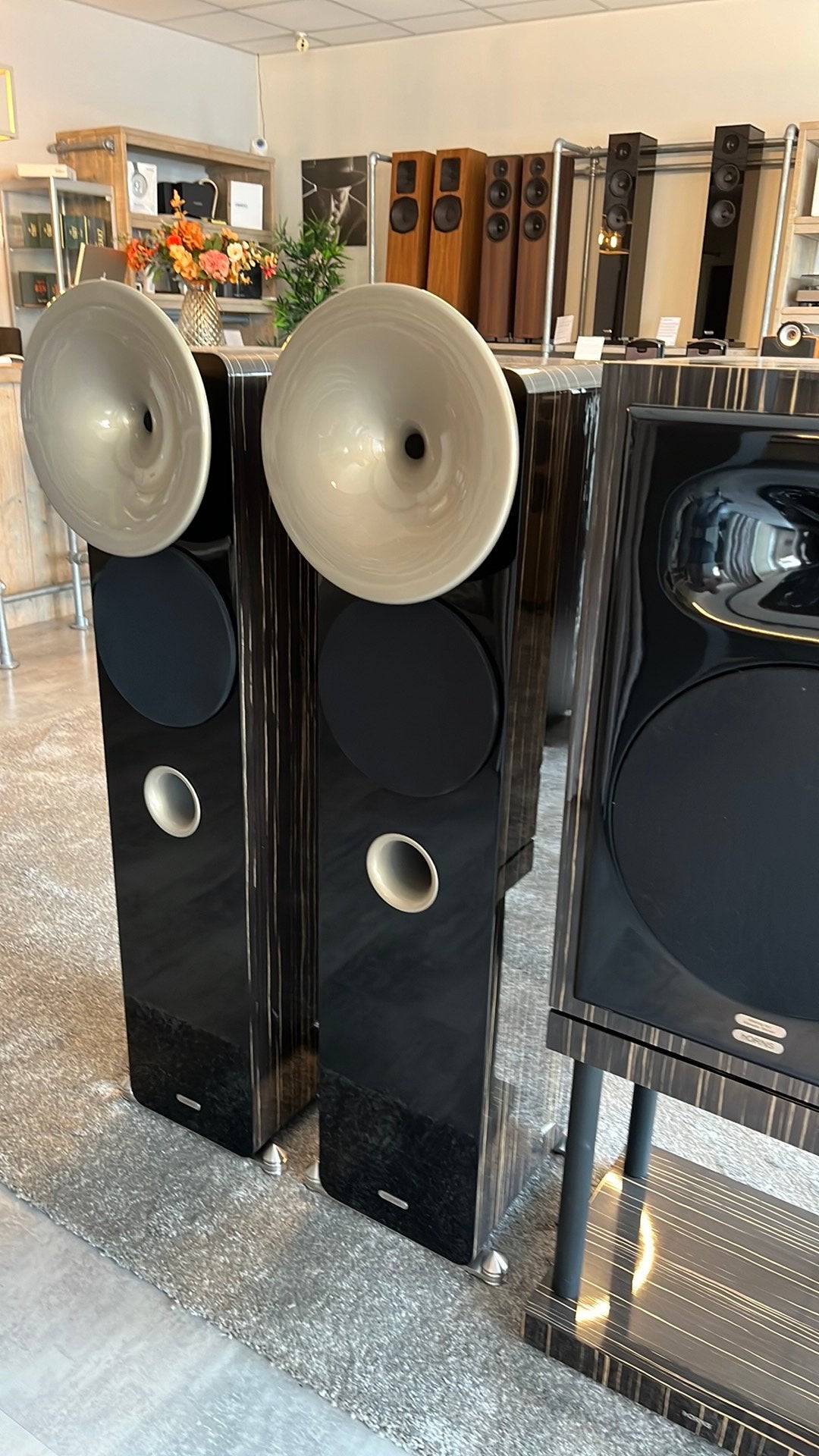 HORNS luidsprekers, Audio, Tv en Foto, Vloerstaande luidspreker, Nieuw, @, Ophalen