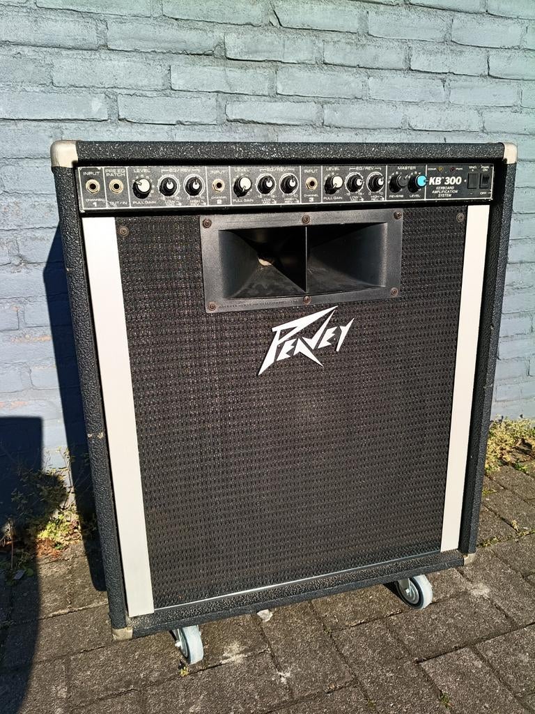 Peavey KB-300, Ophalen, Gebruikt, 100 watt of meer