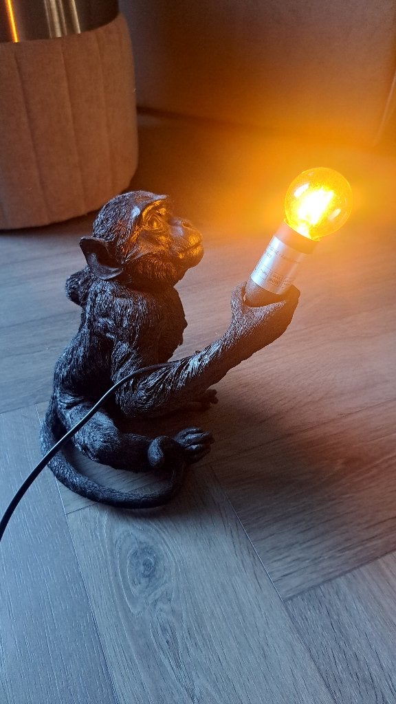 Aapje met lampje, Ophalen, Zwart, Overige materialen, Zo goed als nieuw