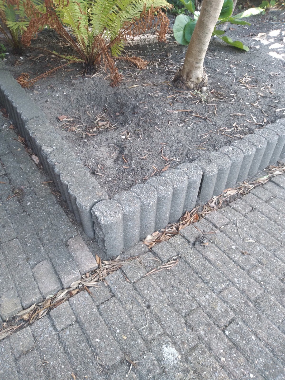 gratis bordes 30st, Tuin en Terras, Bielzen en Borders, Ophalen, Minder dan 100 cm, 25 tot 50 cm