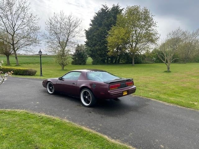 Pontiac Firebird 5.0 AUT 1982 Rood, Auto's, Automaat, 8 cilinders, 157 pk, 4998 cc