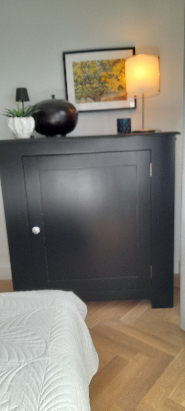 Mooie zwarte kast met enkele deur, Ophalen of Verzenden