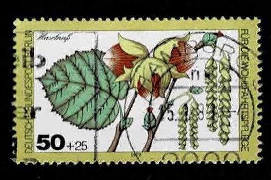 postzegel 569 Berlijn flora Hazelaar, Ophalen of Verzenden, BRD, Gestempeld