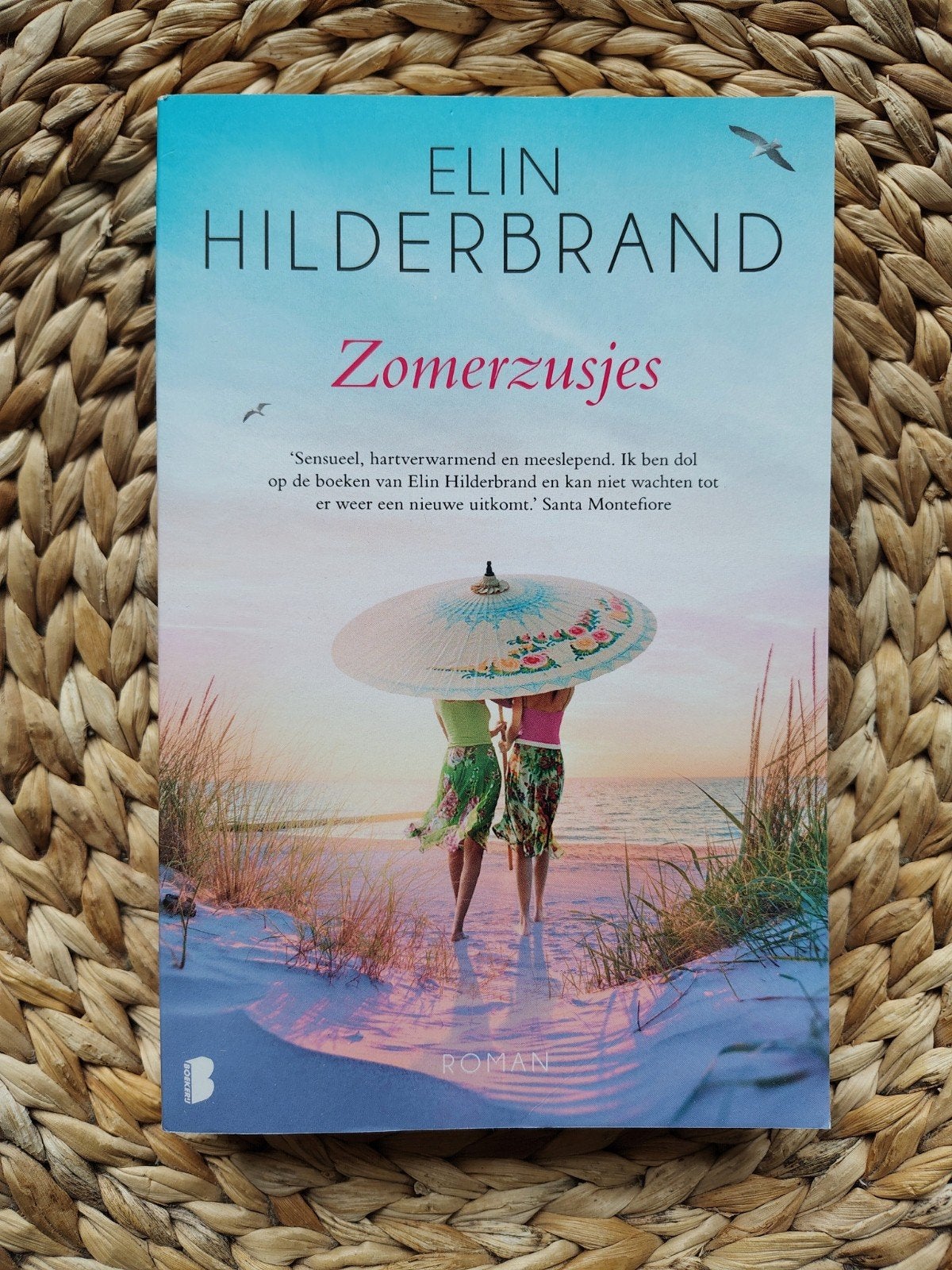 Elin Hilderbrand - Zomerzusjes, Boeken, Ophalen of Verzenden, Zo goed als nieuw