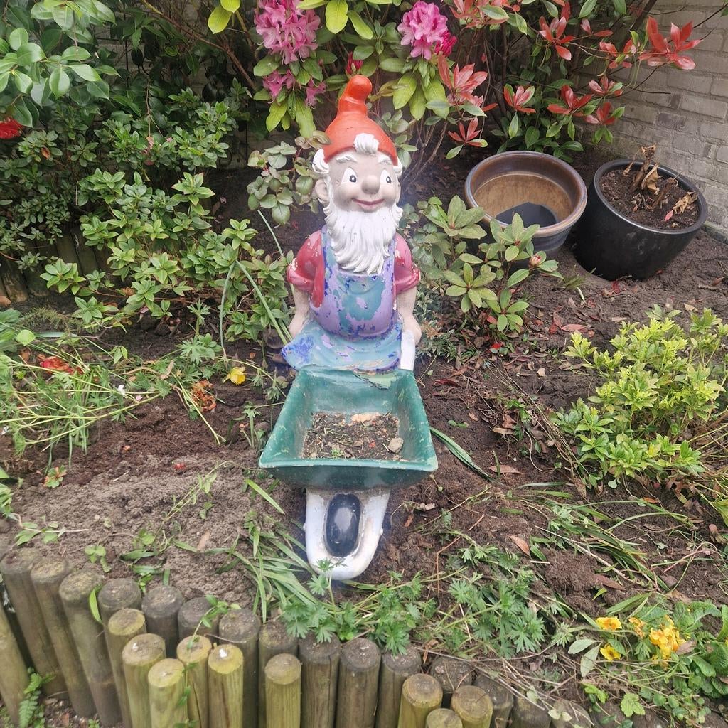 Vrolijke tuinkabouter met kruiwagen zoekt nieuwe tuin, Tuin en Terras, Tuinbeelden, Ophalen, Gebruikt, Kunststof, Tuinkabouter