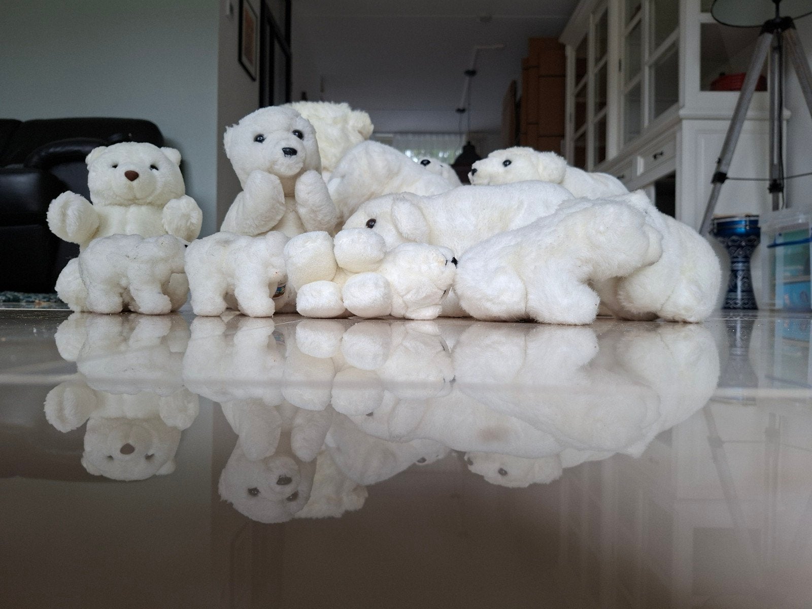 Grote familie ijsberen knuffels - 14 stuks, Beer, Ophalen of Verzenden, Zo goed als nieuw, Middelgroot (20 tot 80 cm)