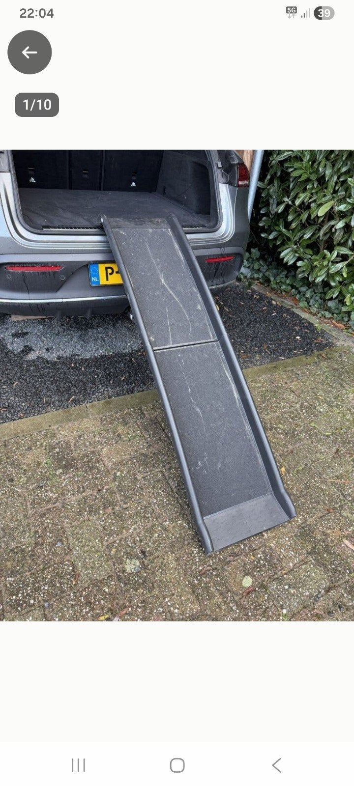 loopplank voor hond, Ophalen